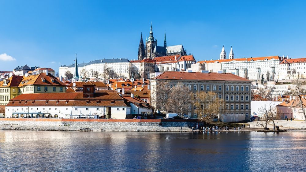 shutterstock_2661910231.jpg