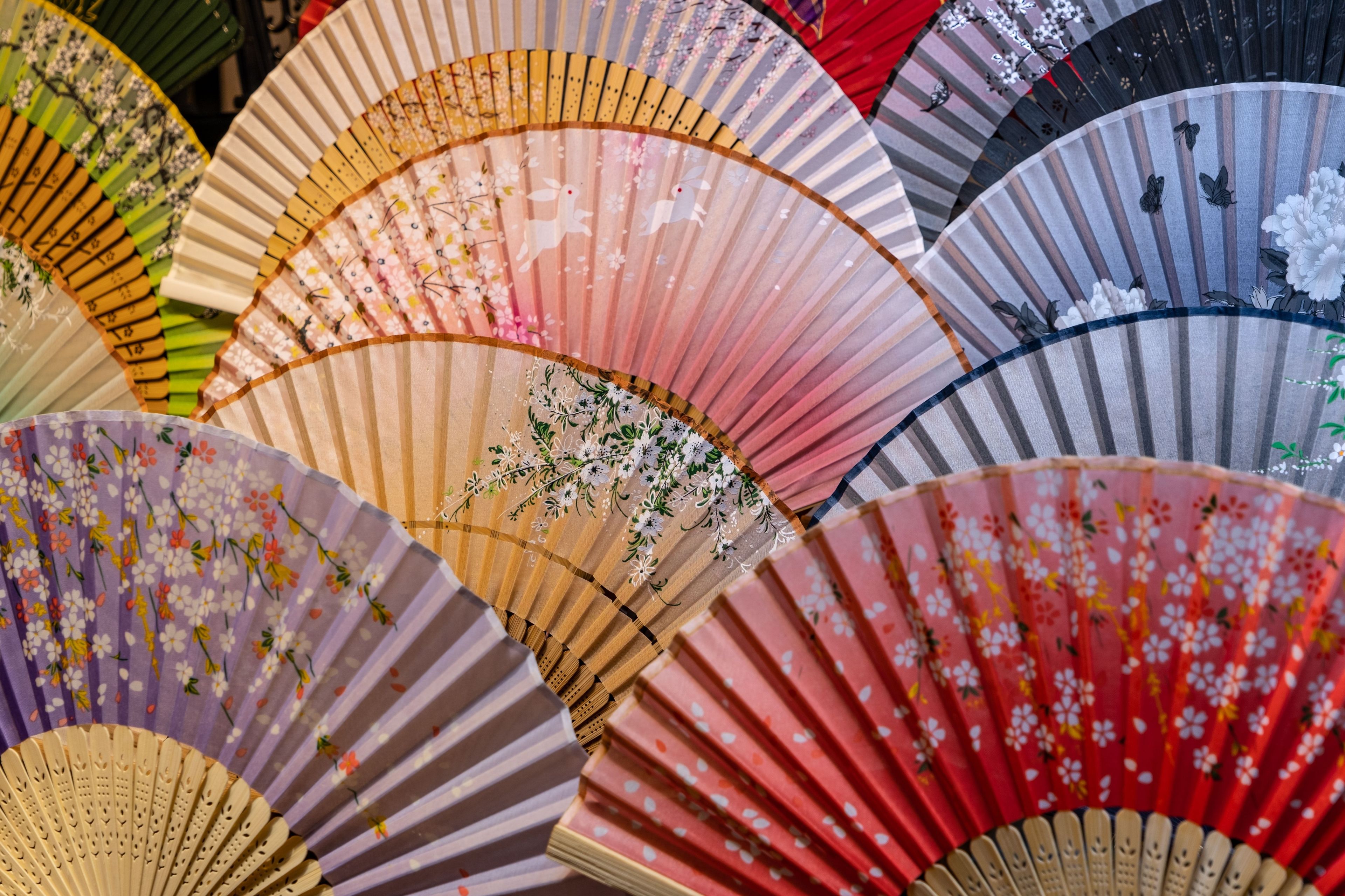 shutterstock_2688148787 (1).jpg