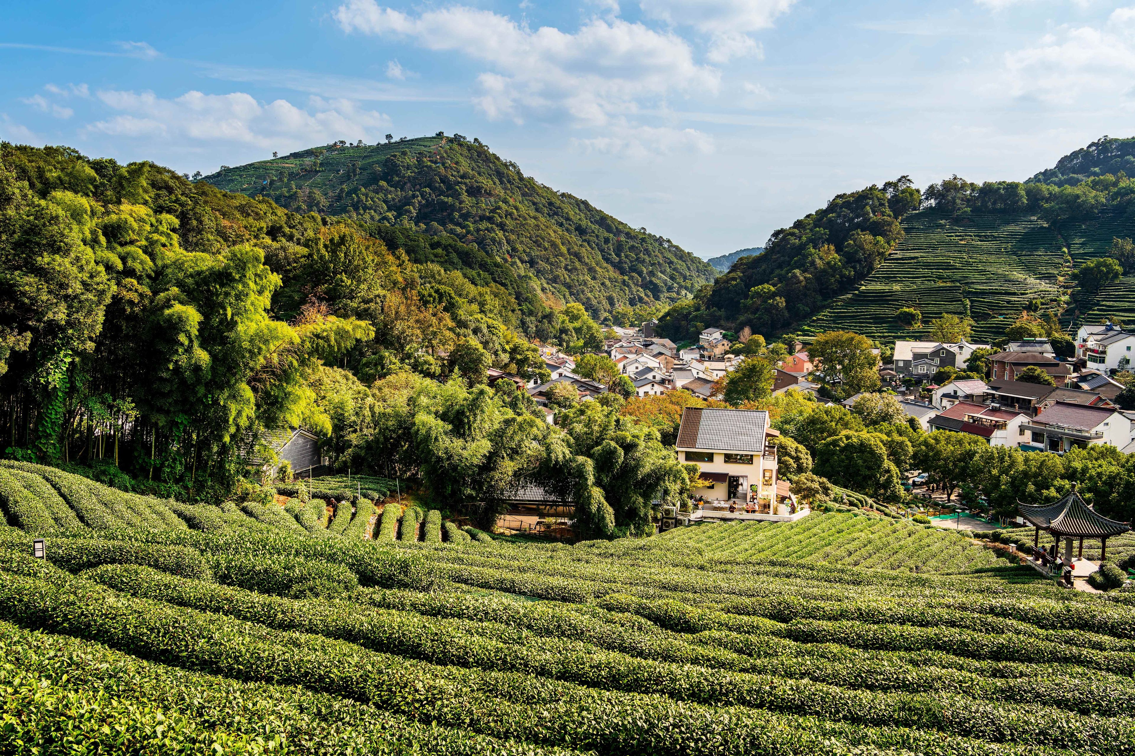 shutterstock_2701847569 (1).jpg