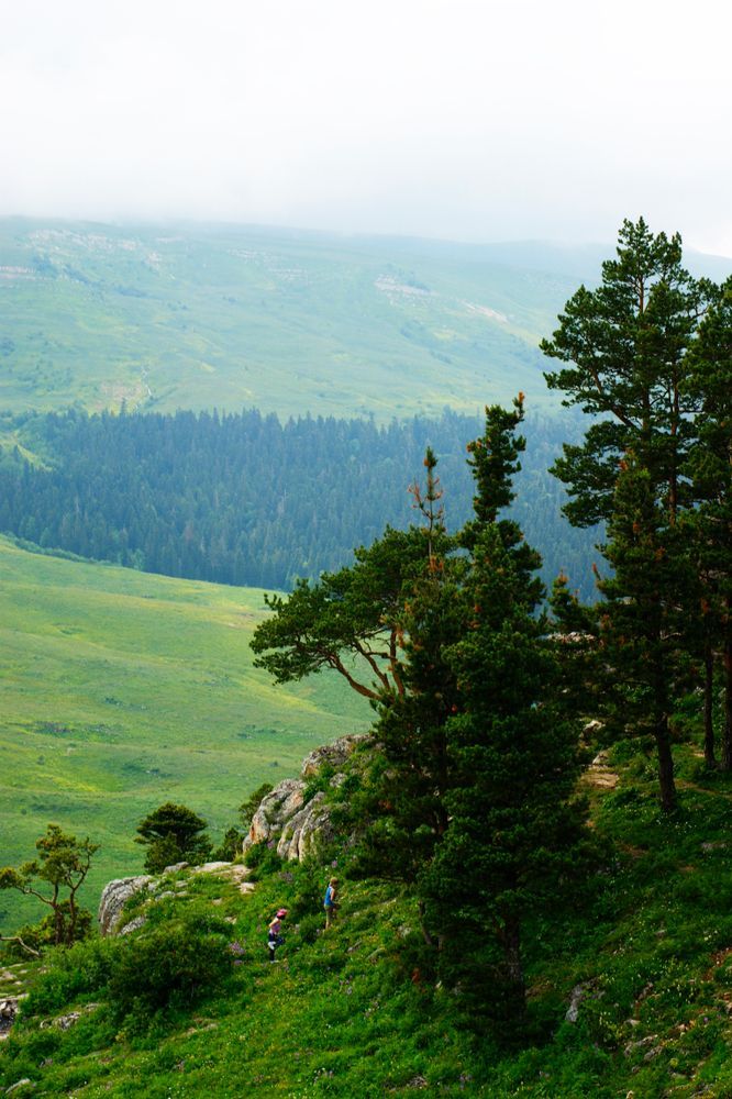 Плато Лаго-Наки в Адыгее, Россия