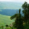 Плато Лаго-Наки в Адыгее, Россия