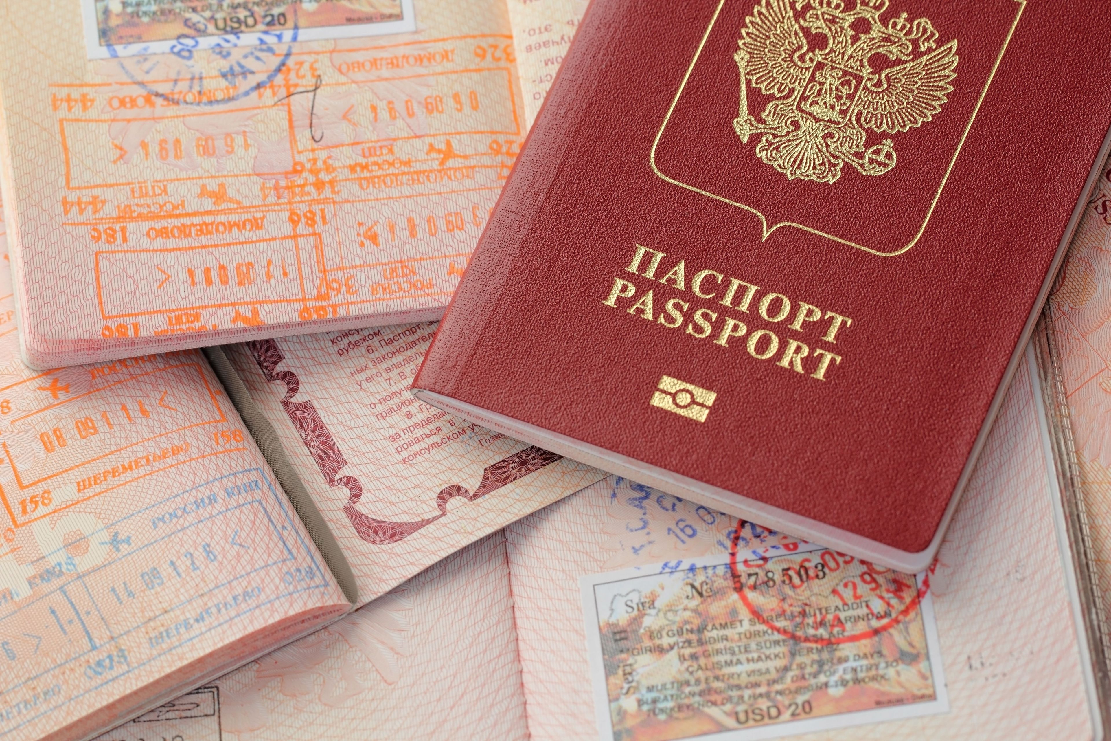 shutterstock_1201070170.jpg