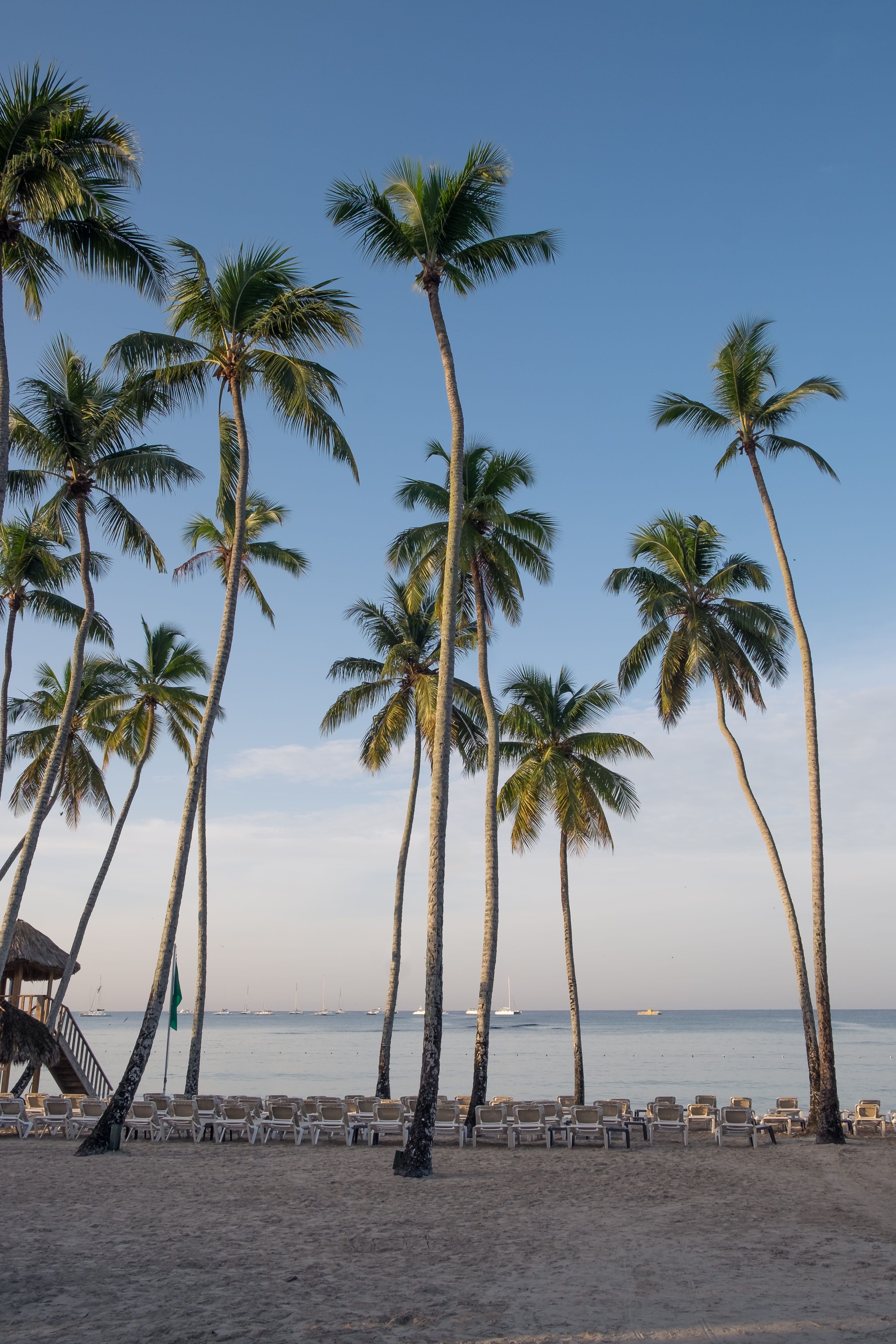 shutterstock_1202665987 (1).jpg
