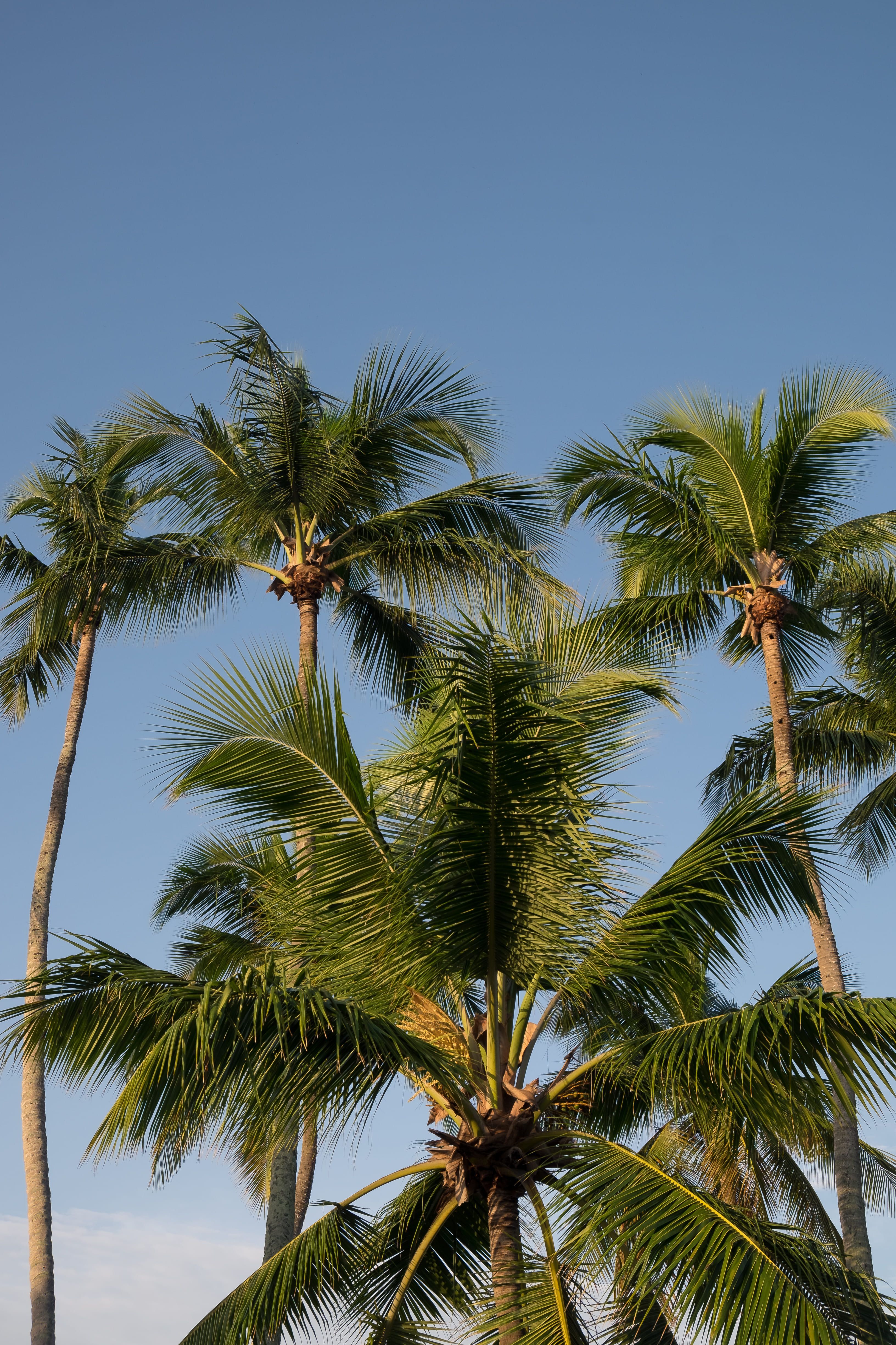 shutterstock_1202665993 (1).jpg