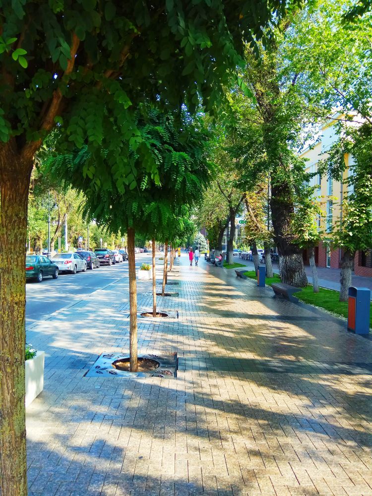 Улица с деревьями в Алматы