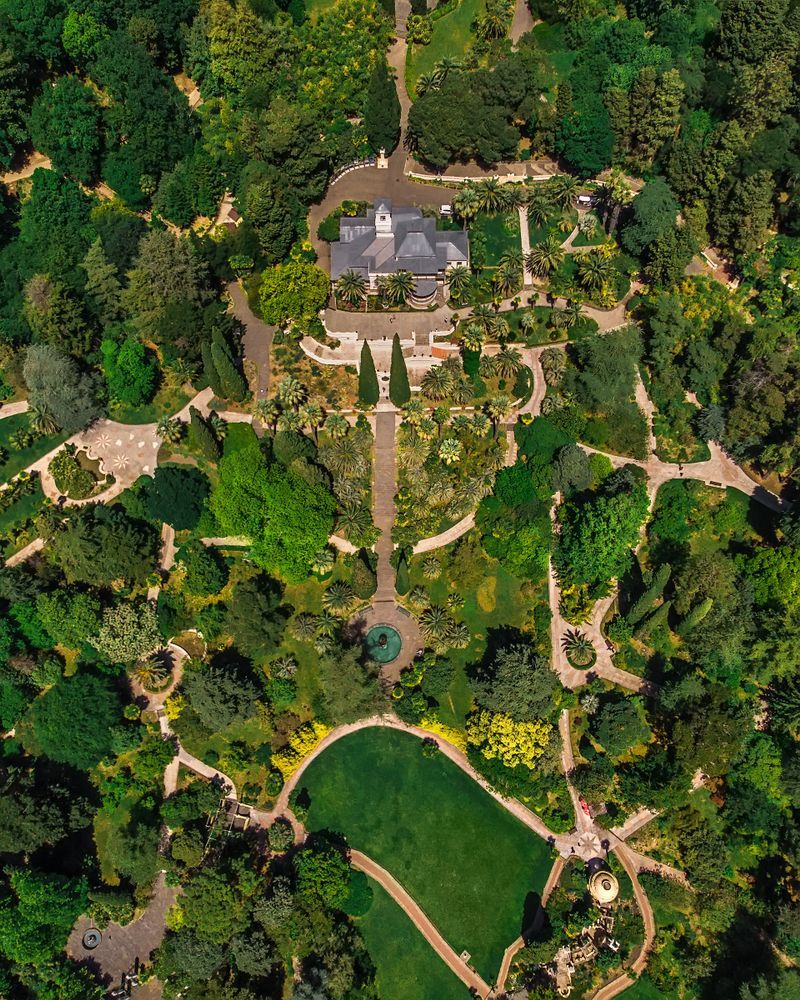 Сочинский дендрарий