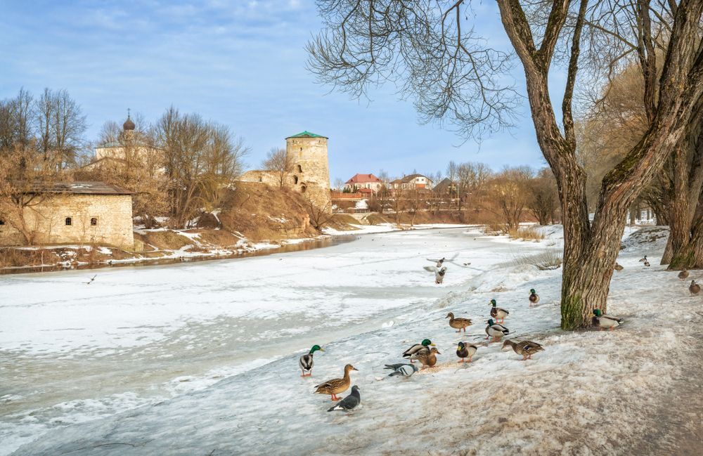 Река в Пскове