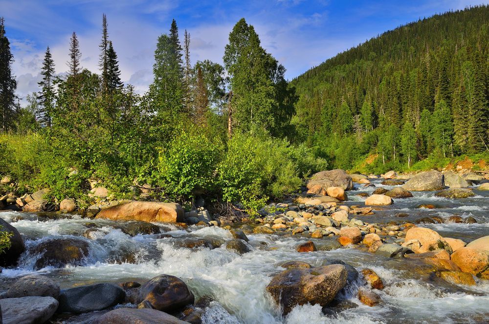 Горная река в горах Кузбасса