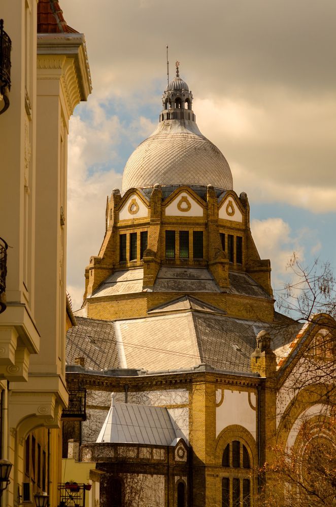 Синагога в Сербии