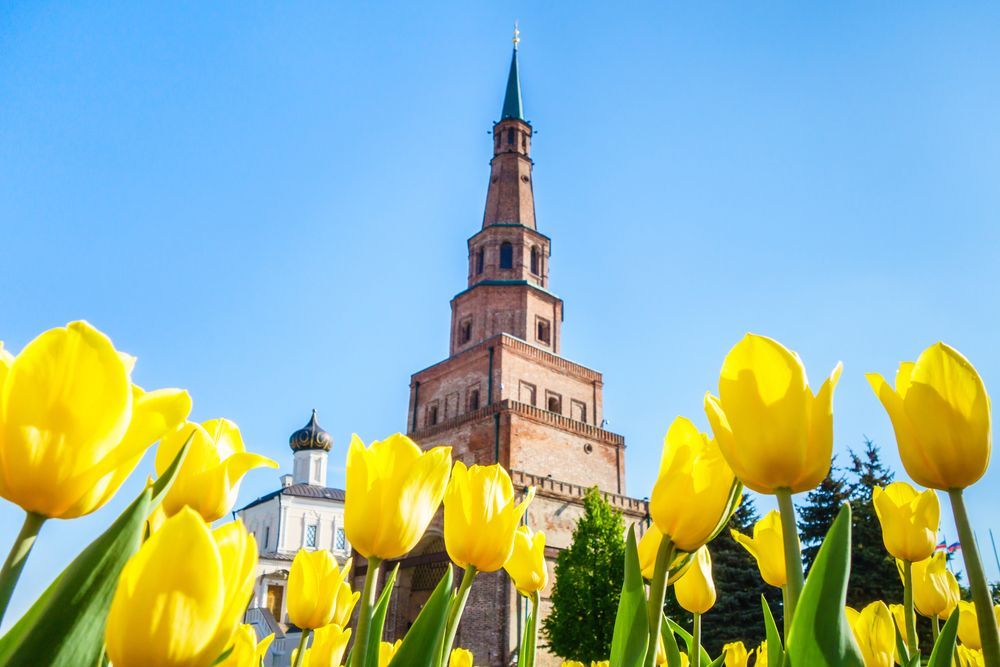 Цветущие тюльпаны на фоне кремля в Казани