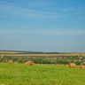 Сенокос в Мордовии