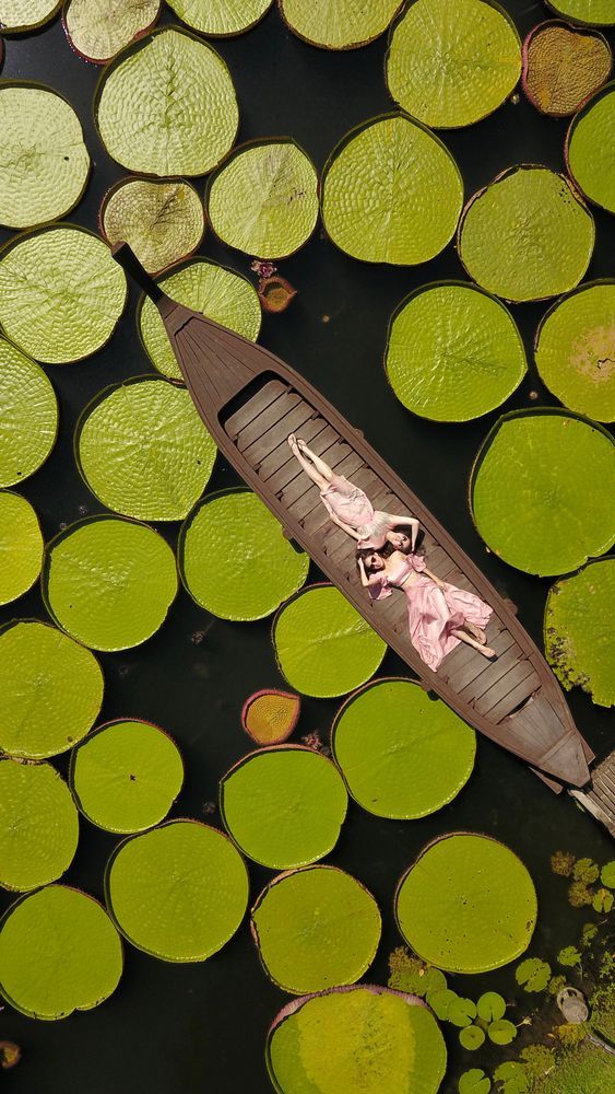 Кафе с кувшинками на Пхукете