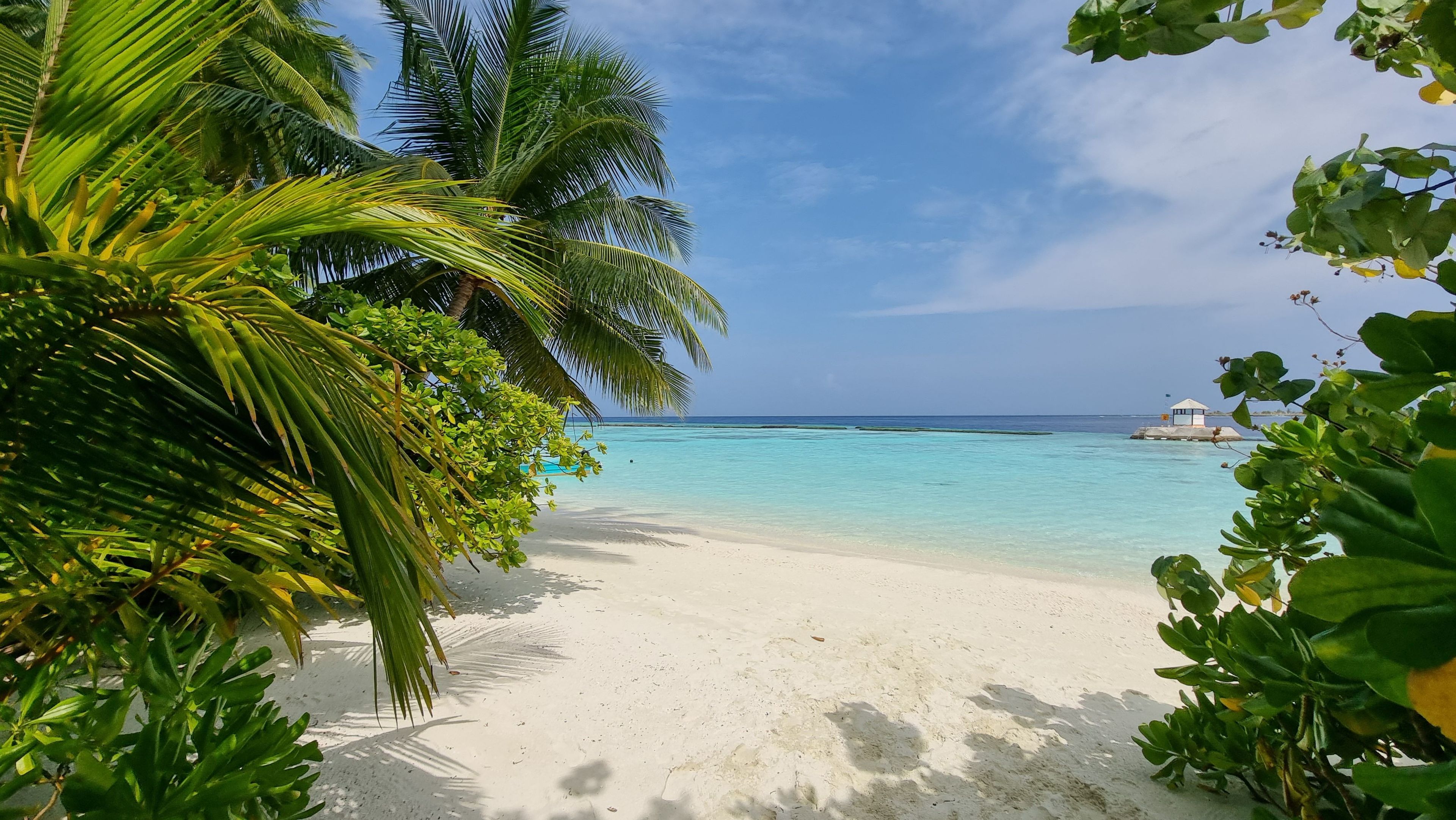 shutterstock_1972178246 (2).jpg