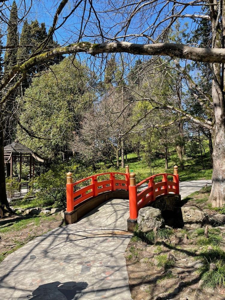 Сочинский дендрарий