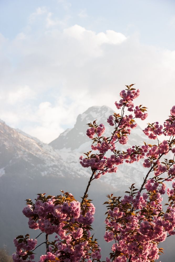 Горы в Красной Поляне, Сочи