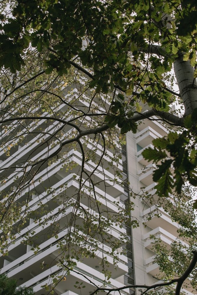 Отели в Сочи