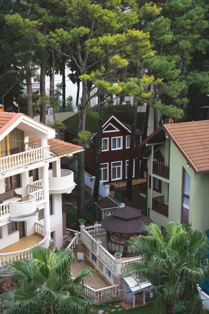 Отели в Сочи