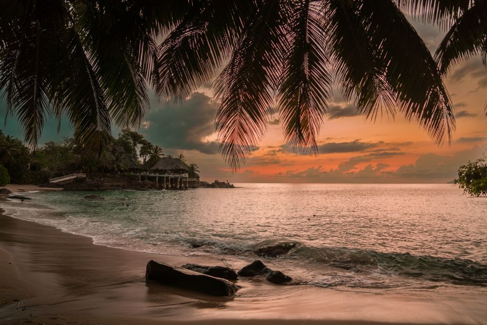 shutterstock_2300585471.jpg