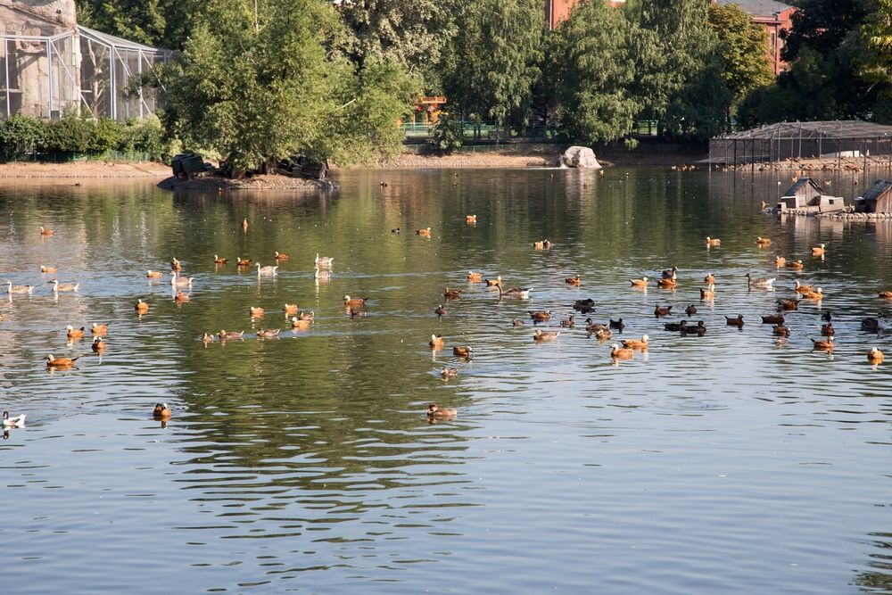 shutterstock_2389217961.jpg