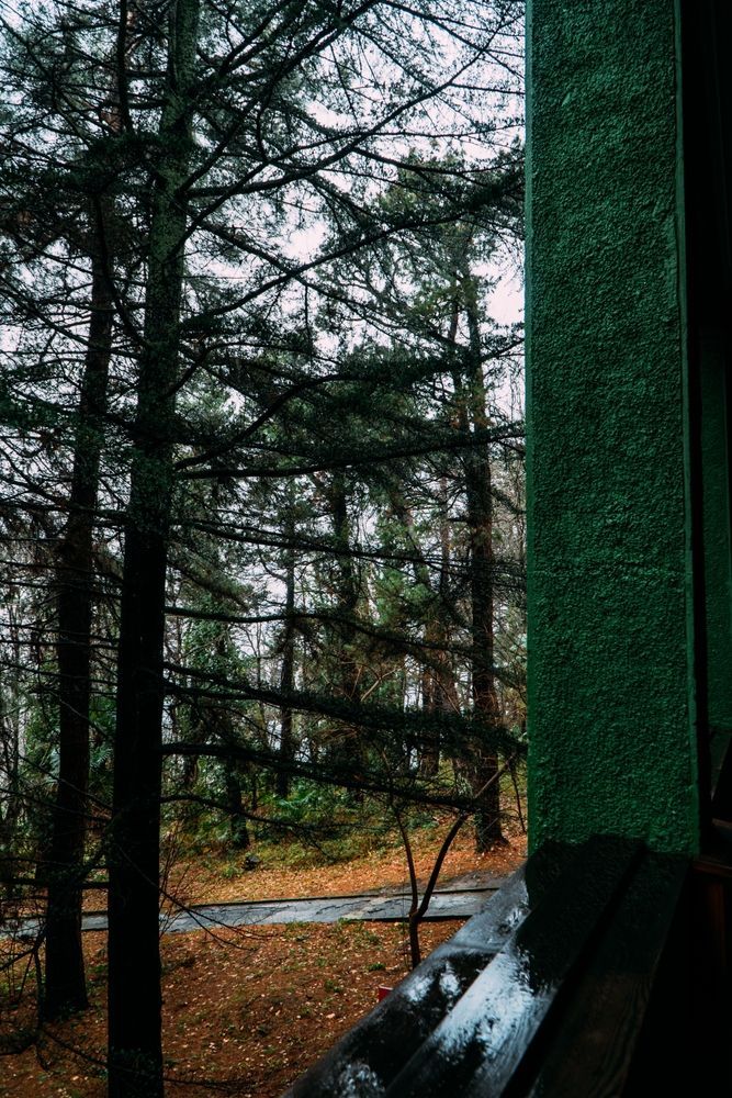 Дача Сталина в Сочи