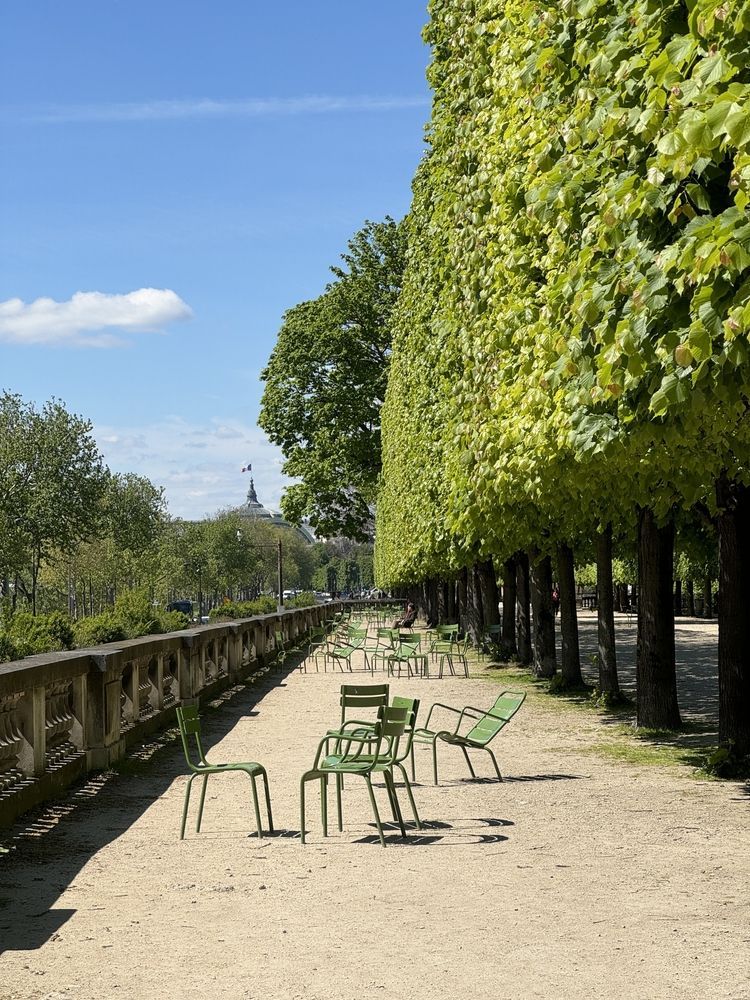 Сад Тюильри в Париже