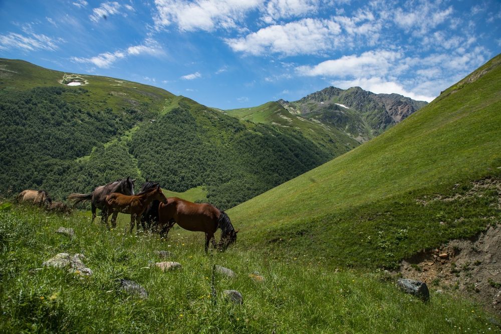 Счастье не за горами: как я съездила в Северную Осетию и почему вам тоже стоит