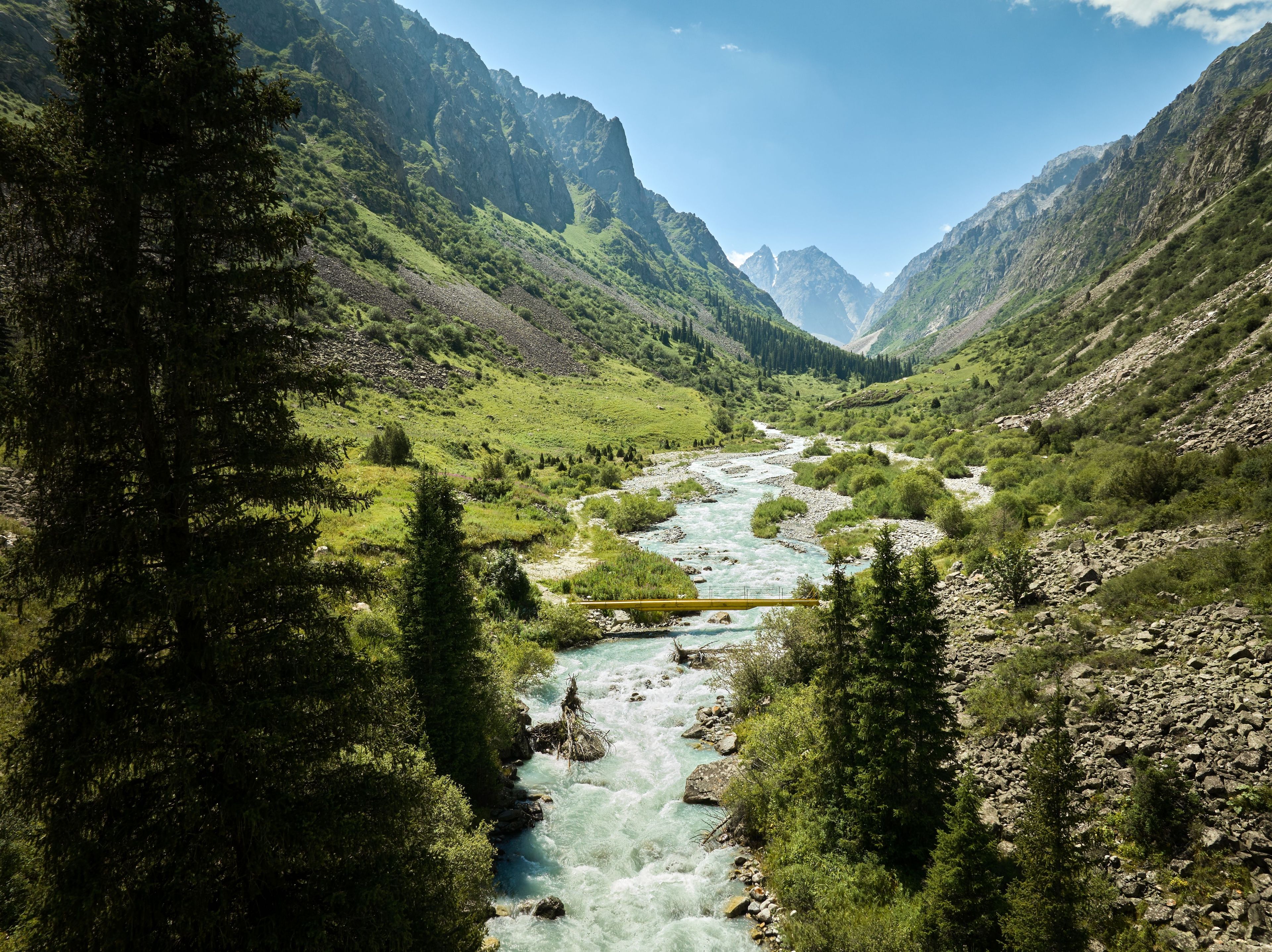 shutterstock_2495502647.jpg