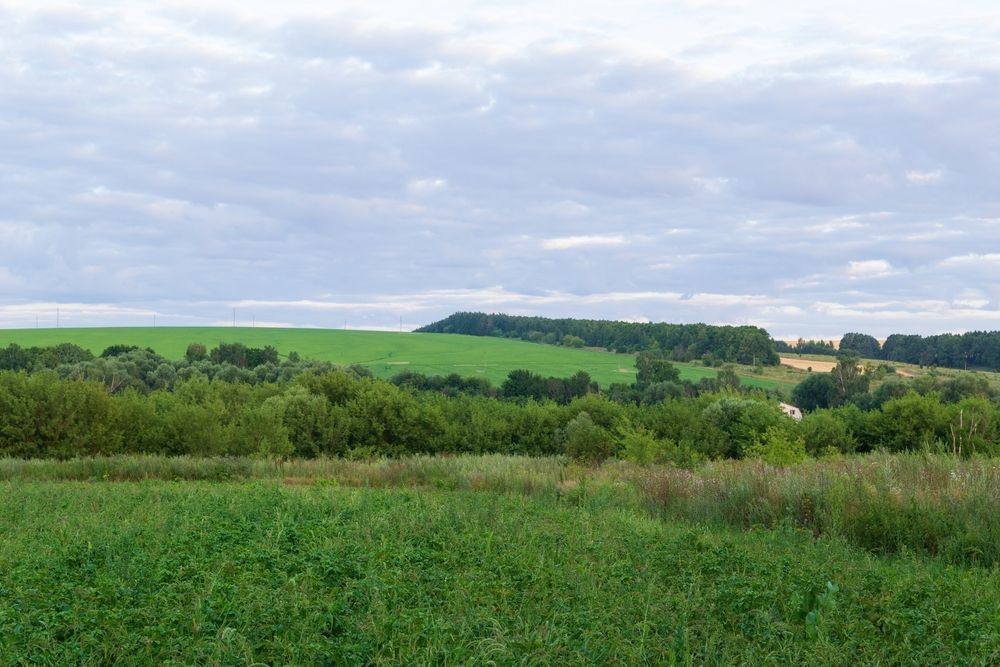 Тульская область