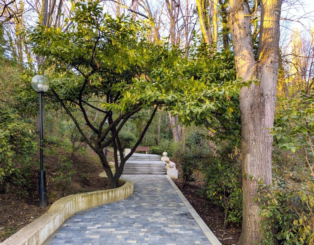 Терренкур в Сочи