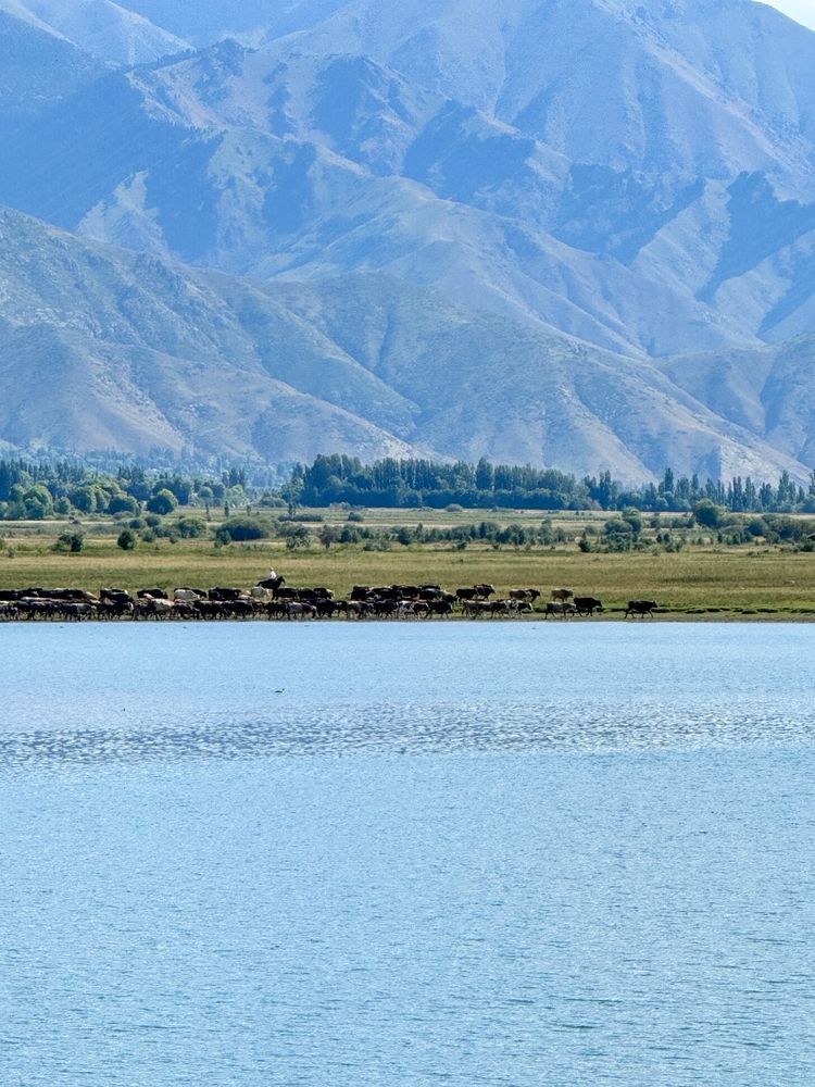 Озеро Иссык-Куль