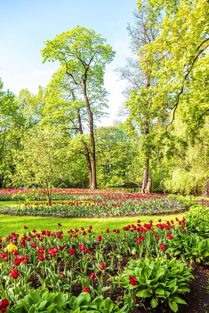 Елагин остров в Санкт-Петербурге