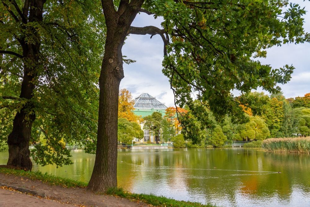 Таврический сад в Петербурге