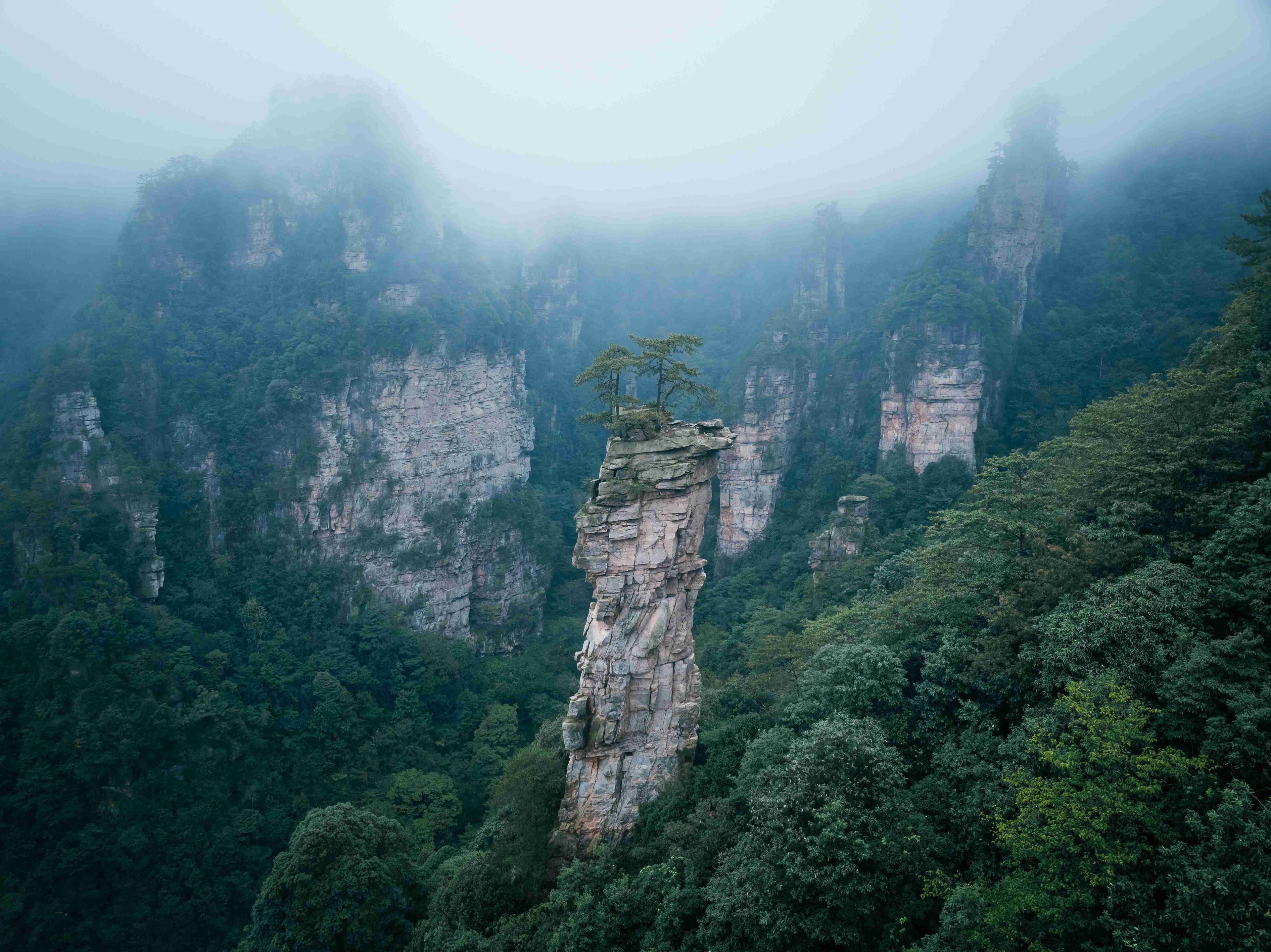 shutterstock_2705672807 (1).jpg