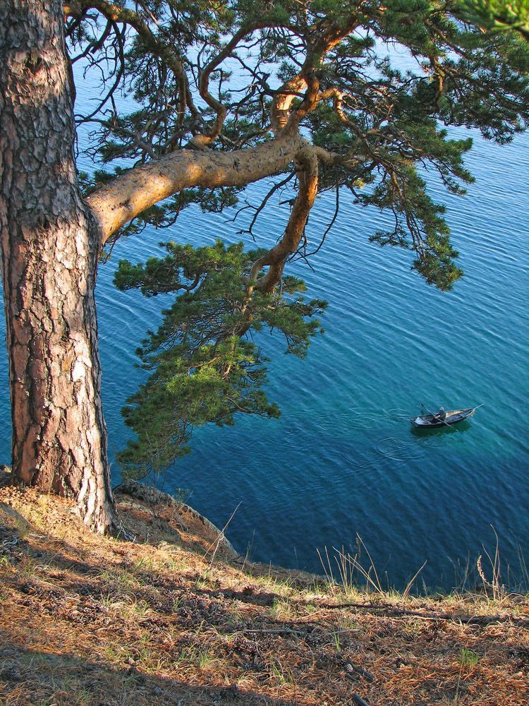 Вид на озеро Байкал