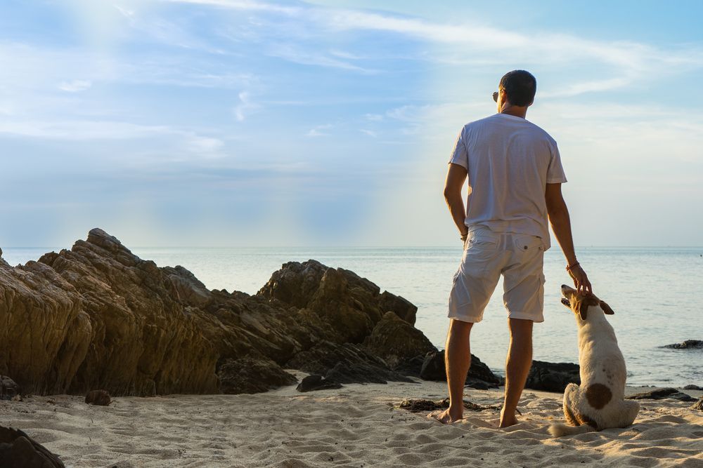 Мужские шорты на пляже