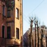 Петроградская сторона Петербурга