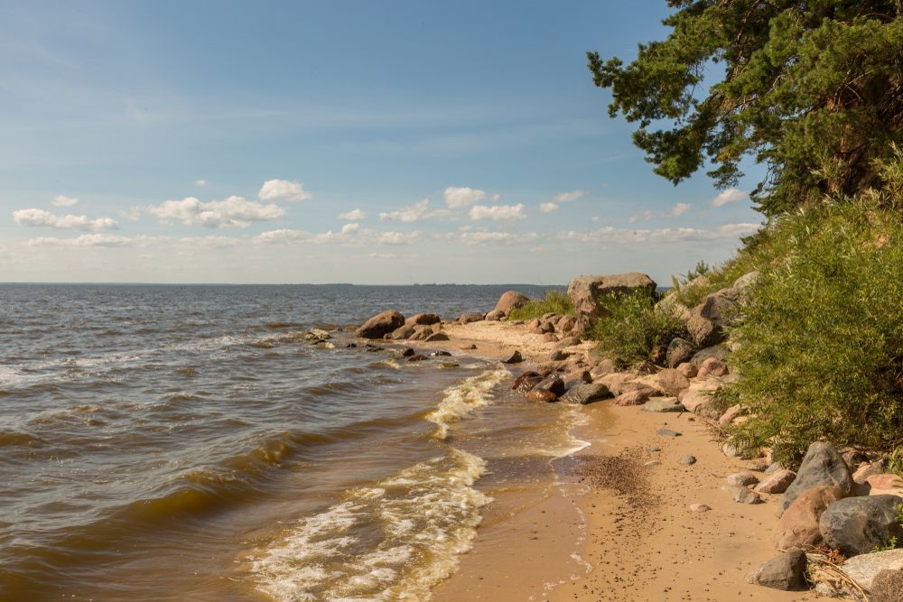 Берег озера и деревья