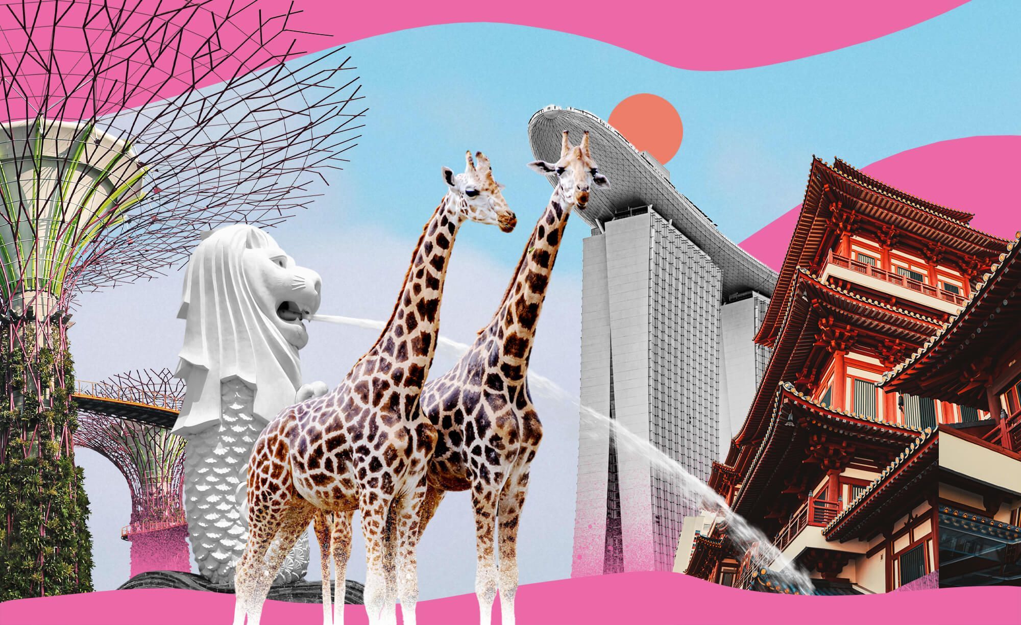 Что посмотреть на пересадке в Сингапуре: сады будущего, Чайна-таун и индийский квартал