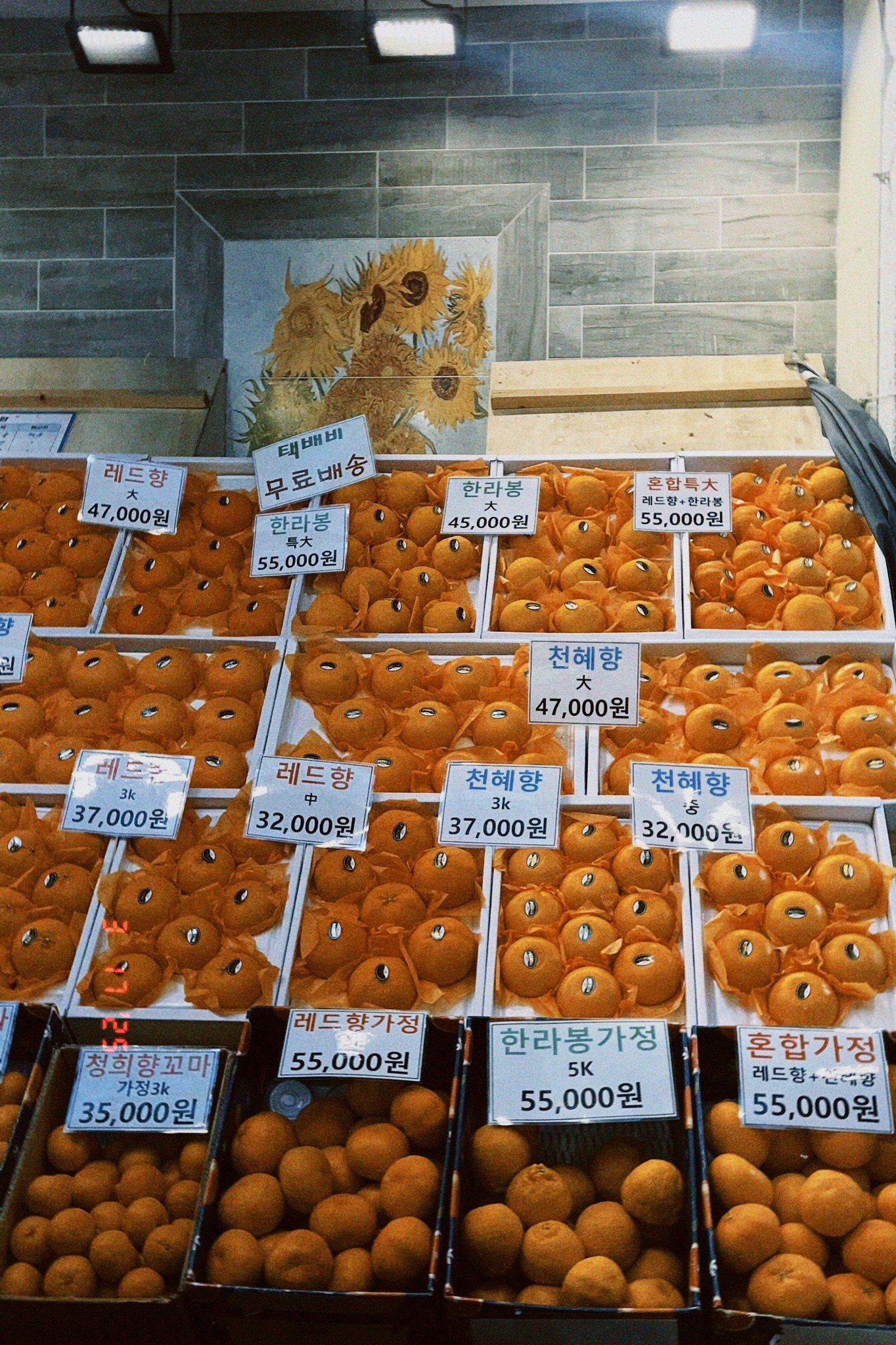 10 дней в Корее с малышом и бабушкой