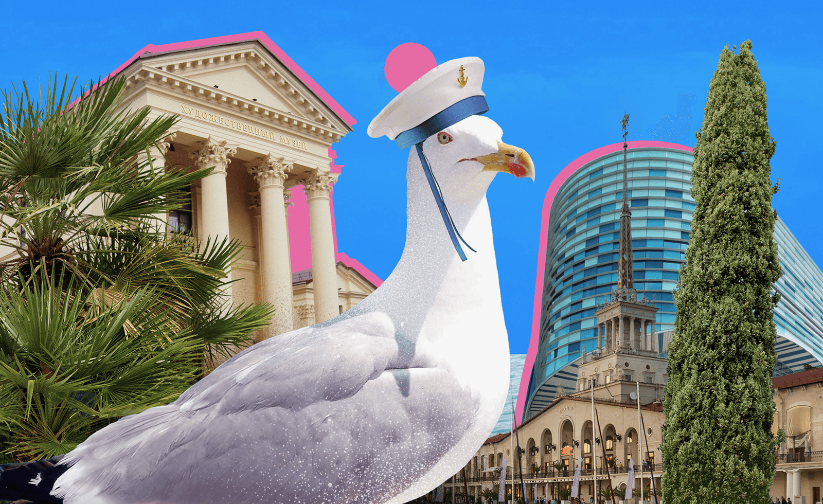 Путеводитель по Сочи: чайные плантации, дача Сталина и парк с пеликанами