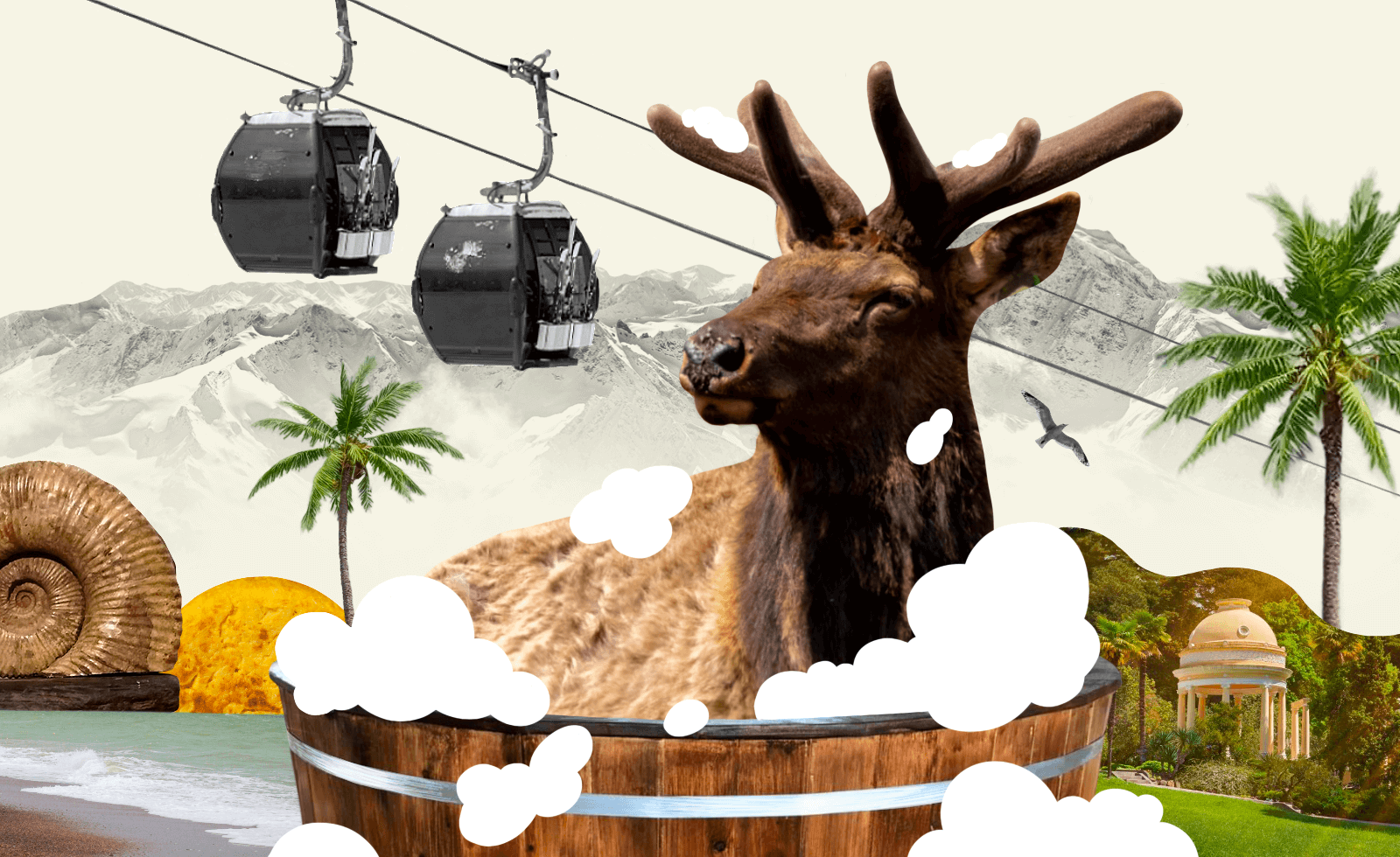 Погладить оленей и посидеть в бочке: чем заняться зимой в Сочи