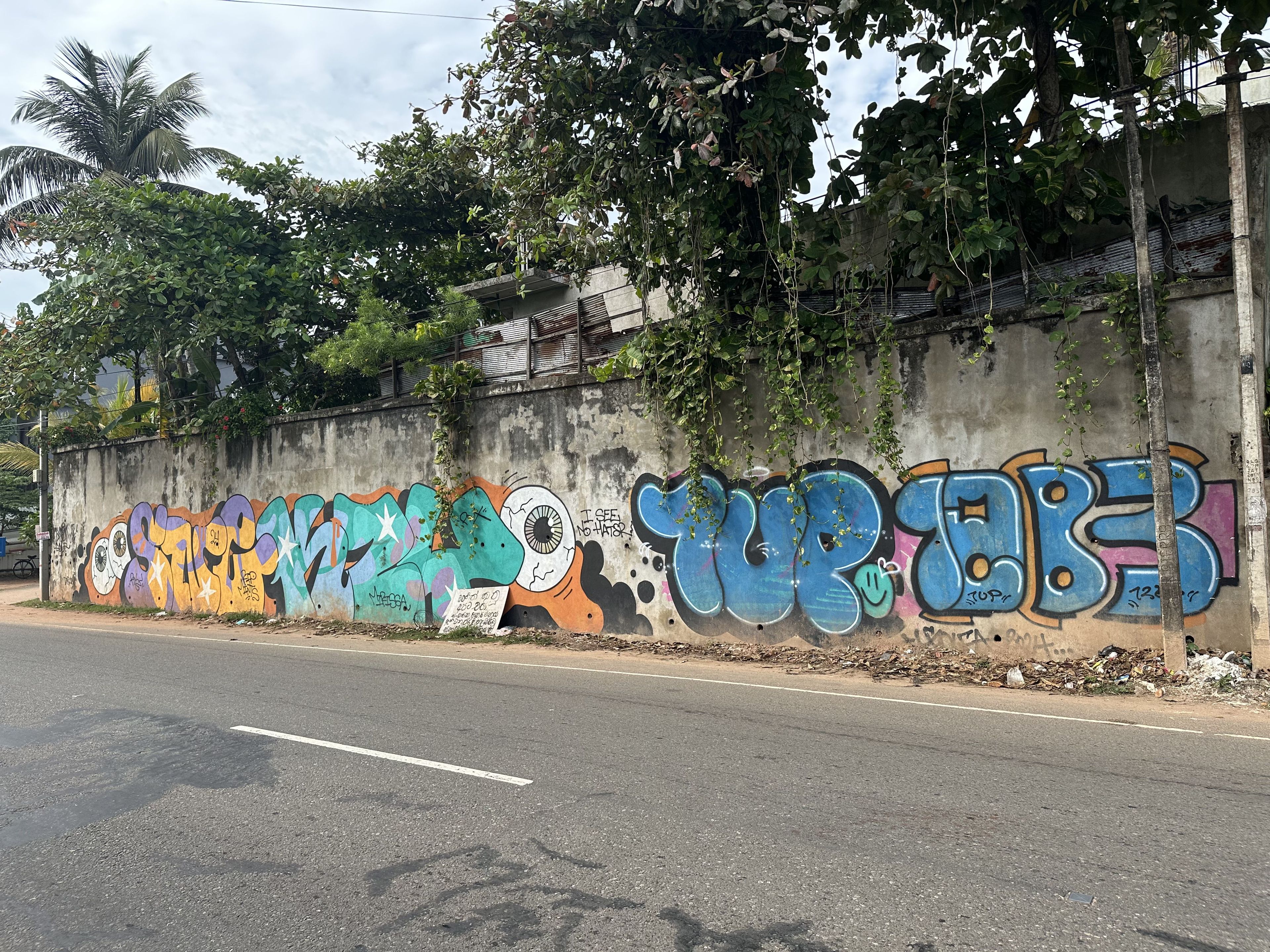 tima travel (1).jpeg