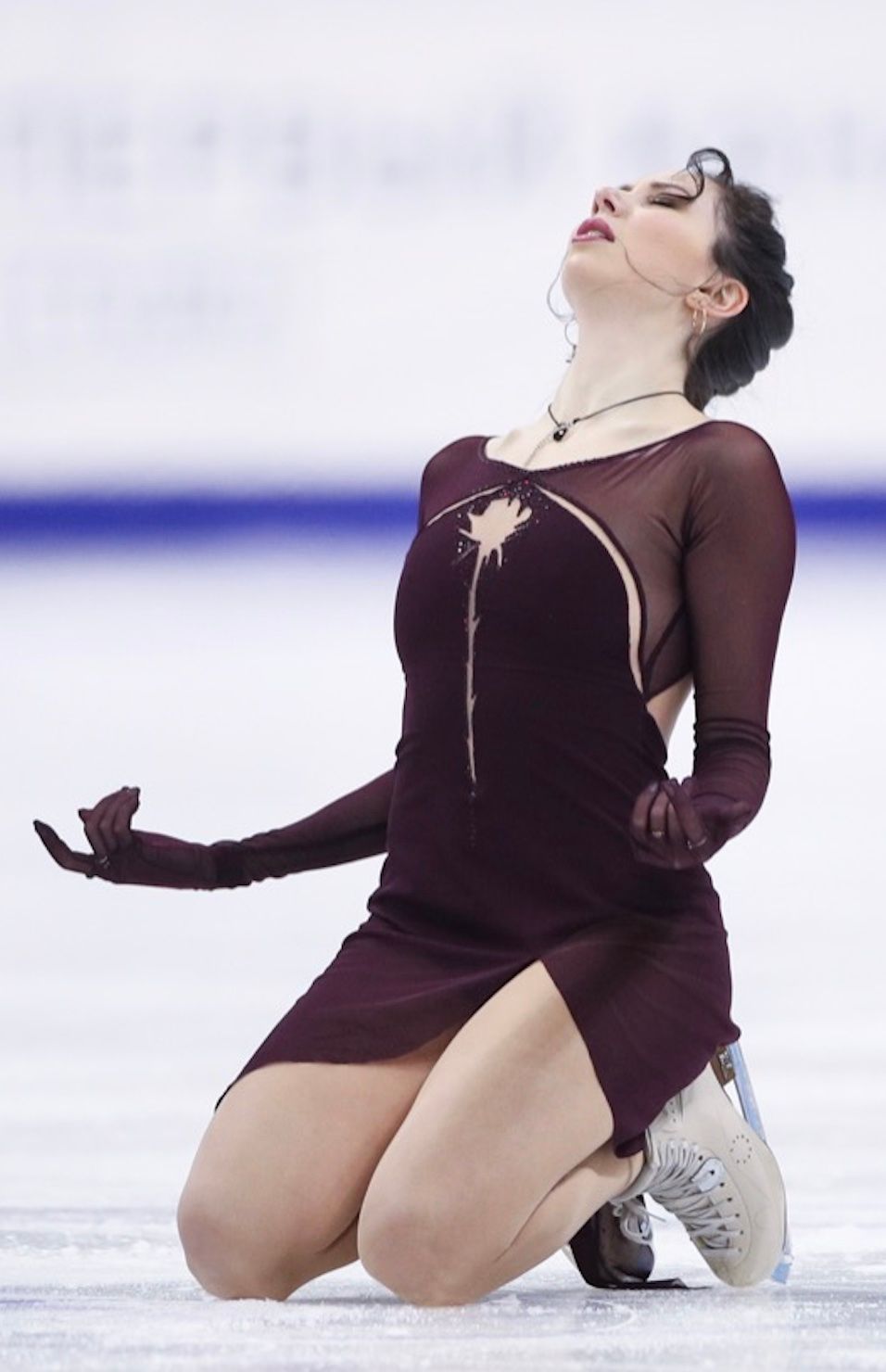 туктик на льду