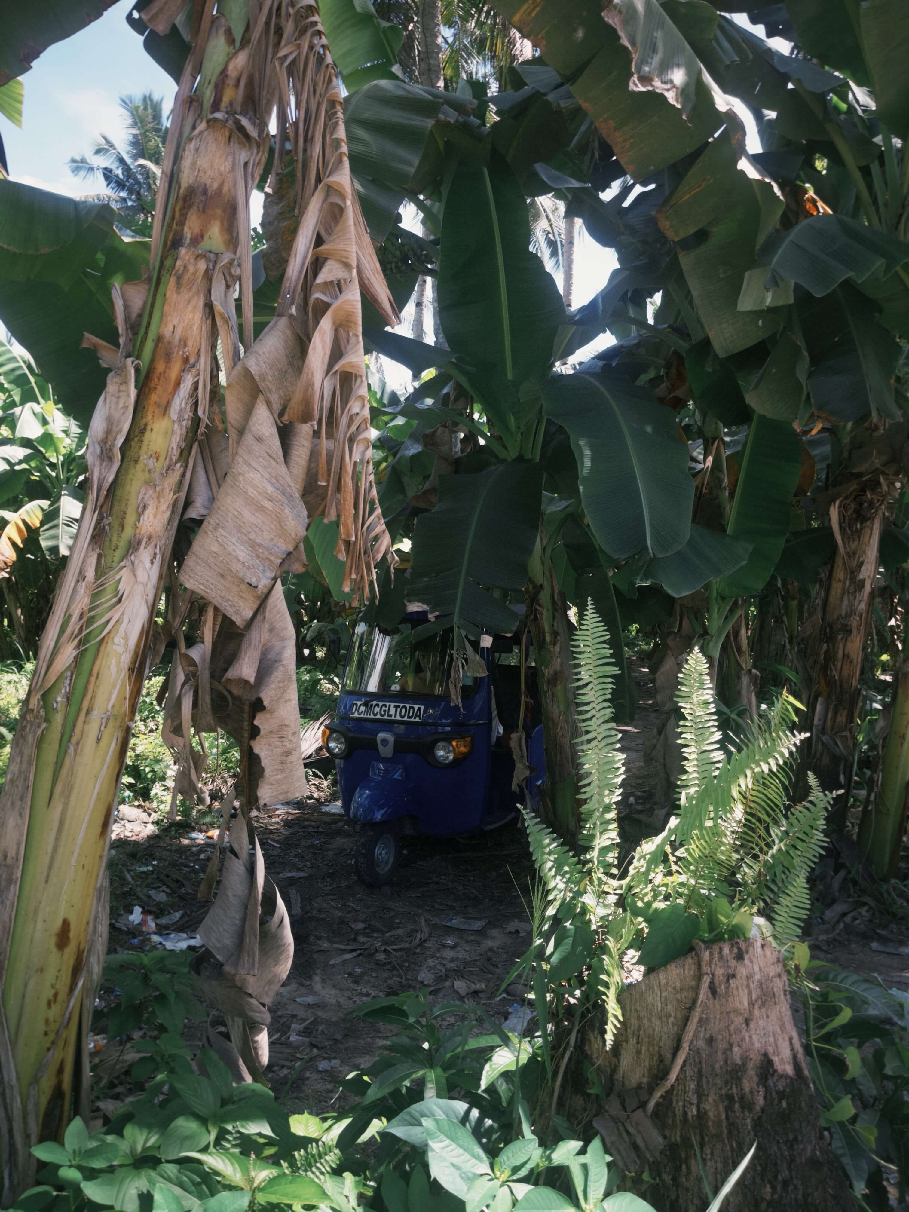 Остров Сиаргао на Филиппинах