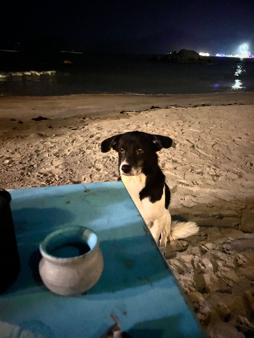 uz Гоа 05 2025 (10).jpg