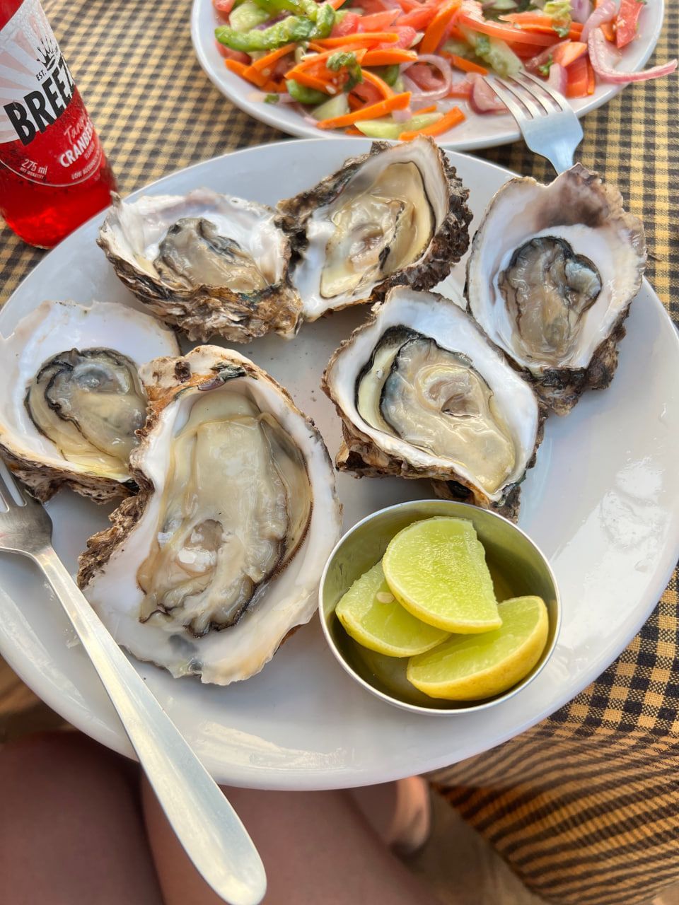 uz Гоа 05 2025 (12).jpg