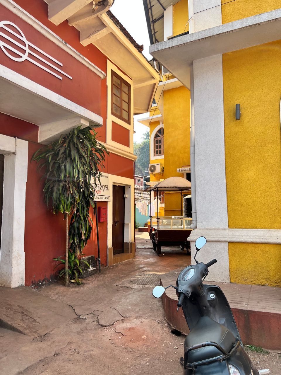 uz Гоа 05 2025 (21).jpg