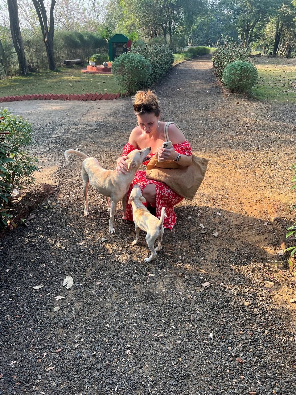 uz Гоа 05 2025 (24).jpg