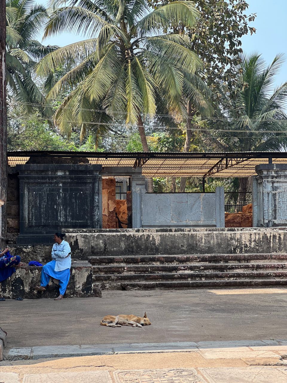 uz Гоа 05 2025 (25).jpg