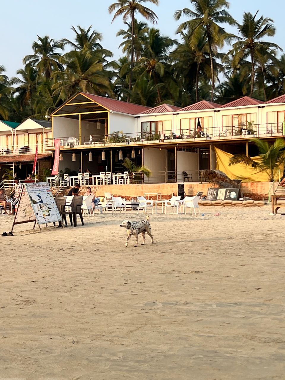 uz Гоа 05 2025 (32).jpg